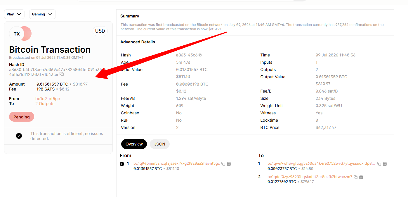 Payment Proof